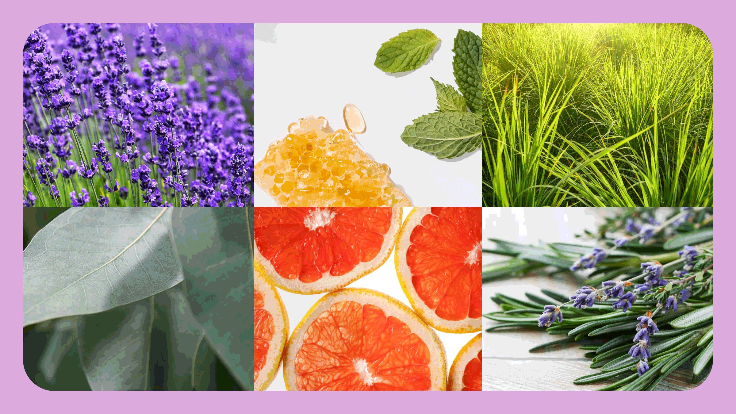 Essential Oils - Bath Promotions