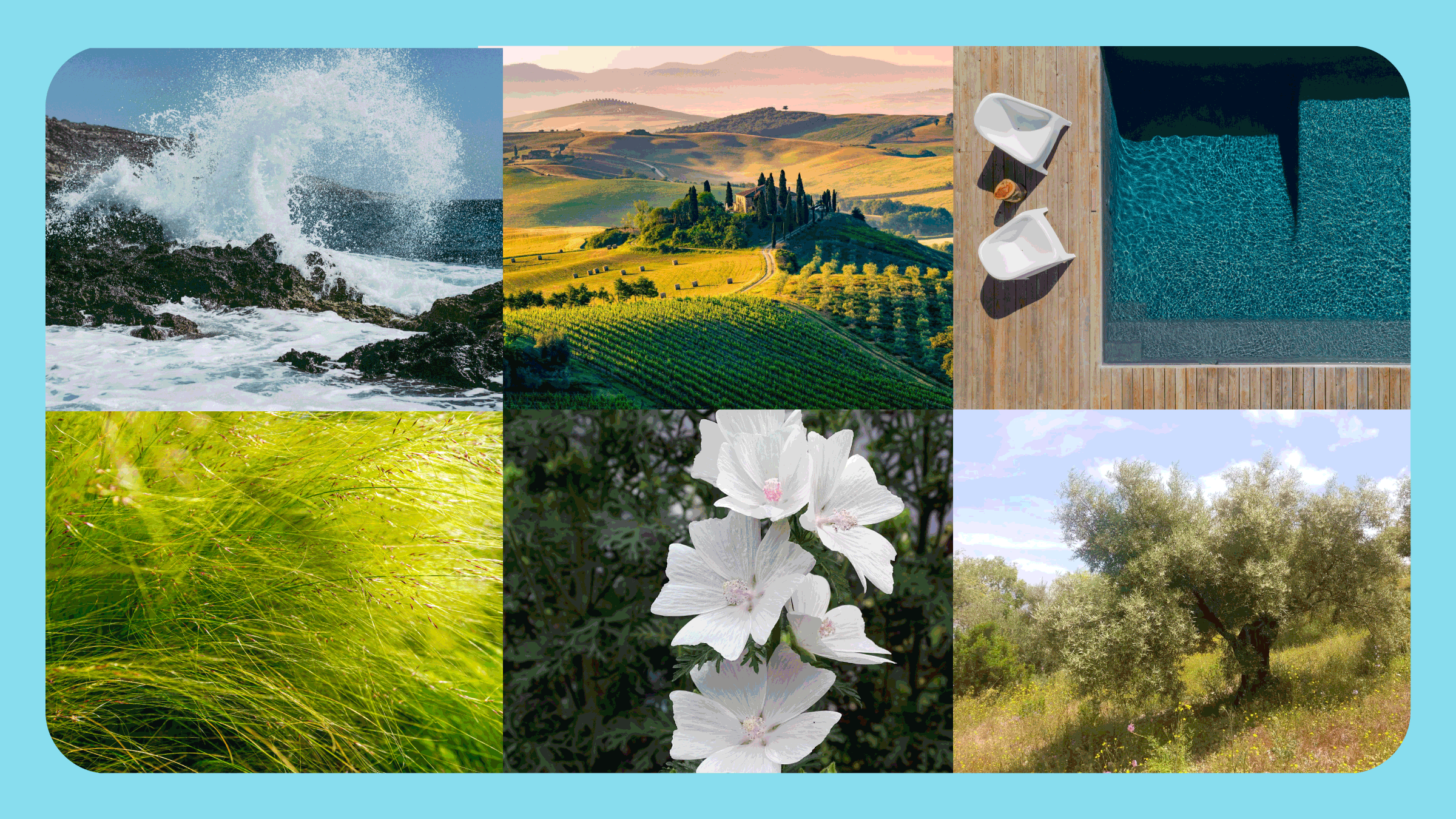 Luxury Blends - Bath Promotions