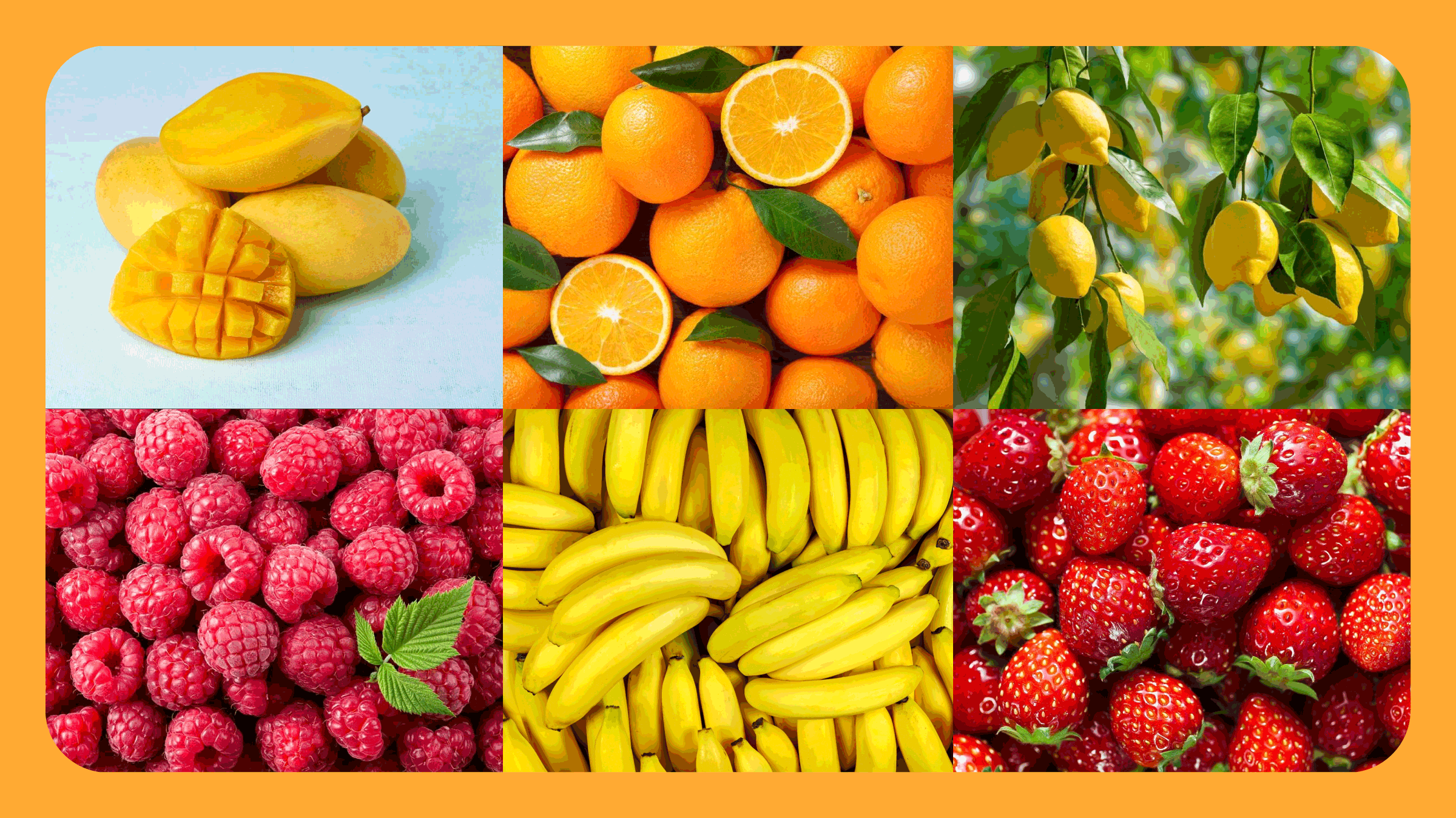 Citrus & Fruits - Bath Promotions