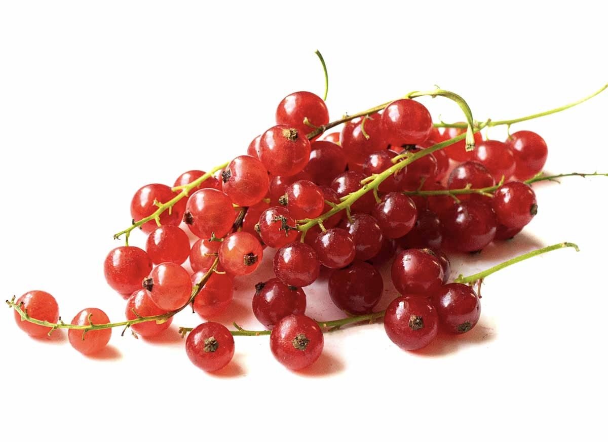 Fresh red currants with green stems scattered on a white background, showing clusters of small, glossy red berries still attached to their delicate green branches.