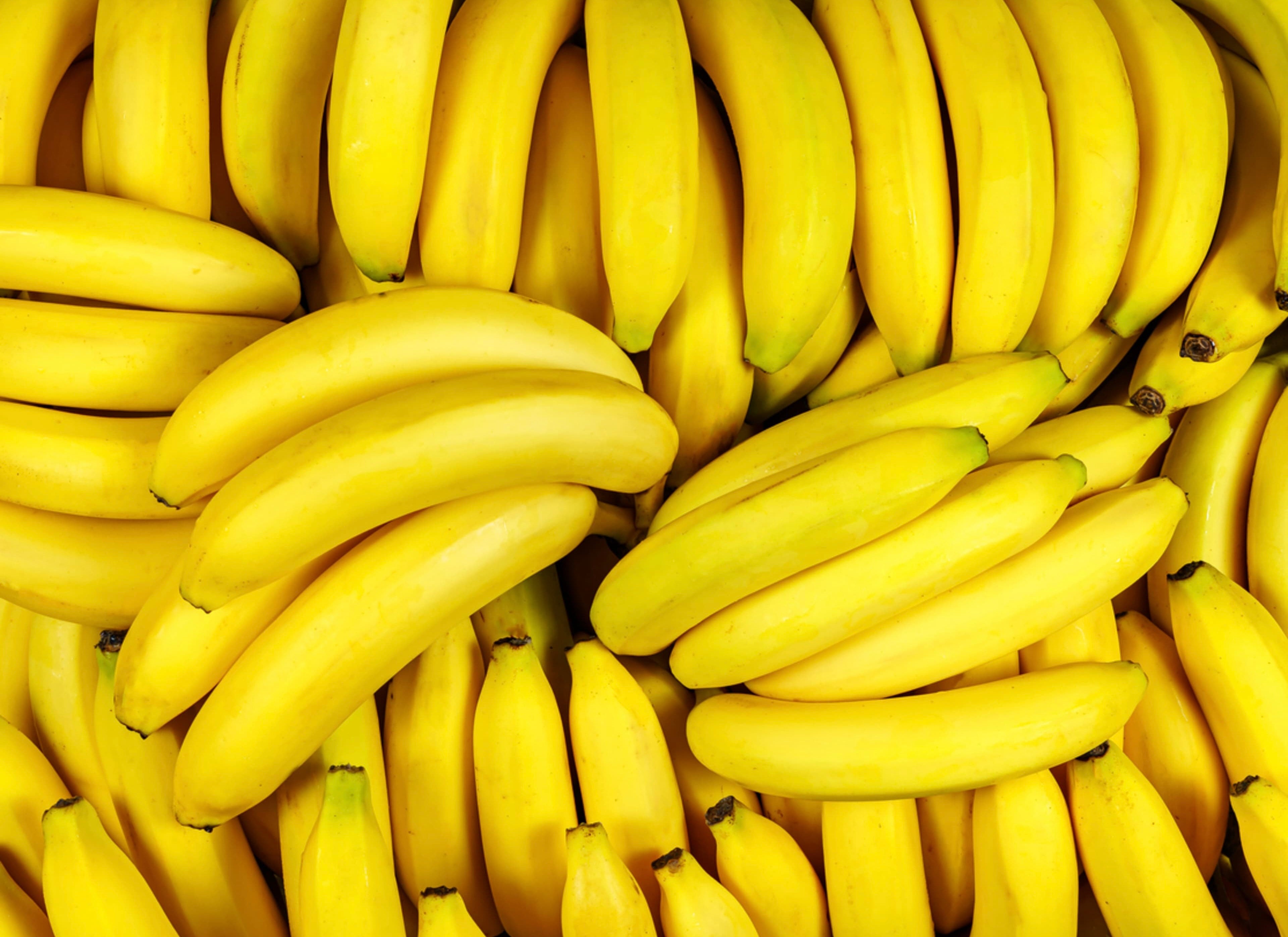 Multiple bunches of ripe yellow bananas arranged closely together, filling the entire frame.