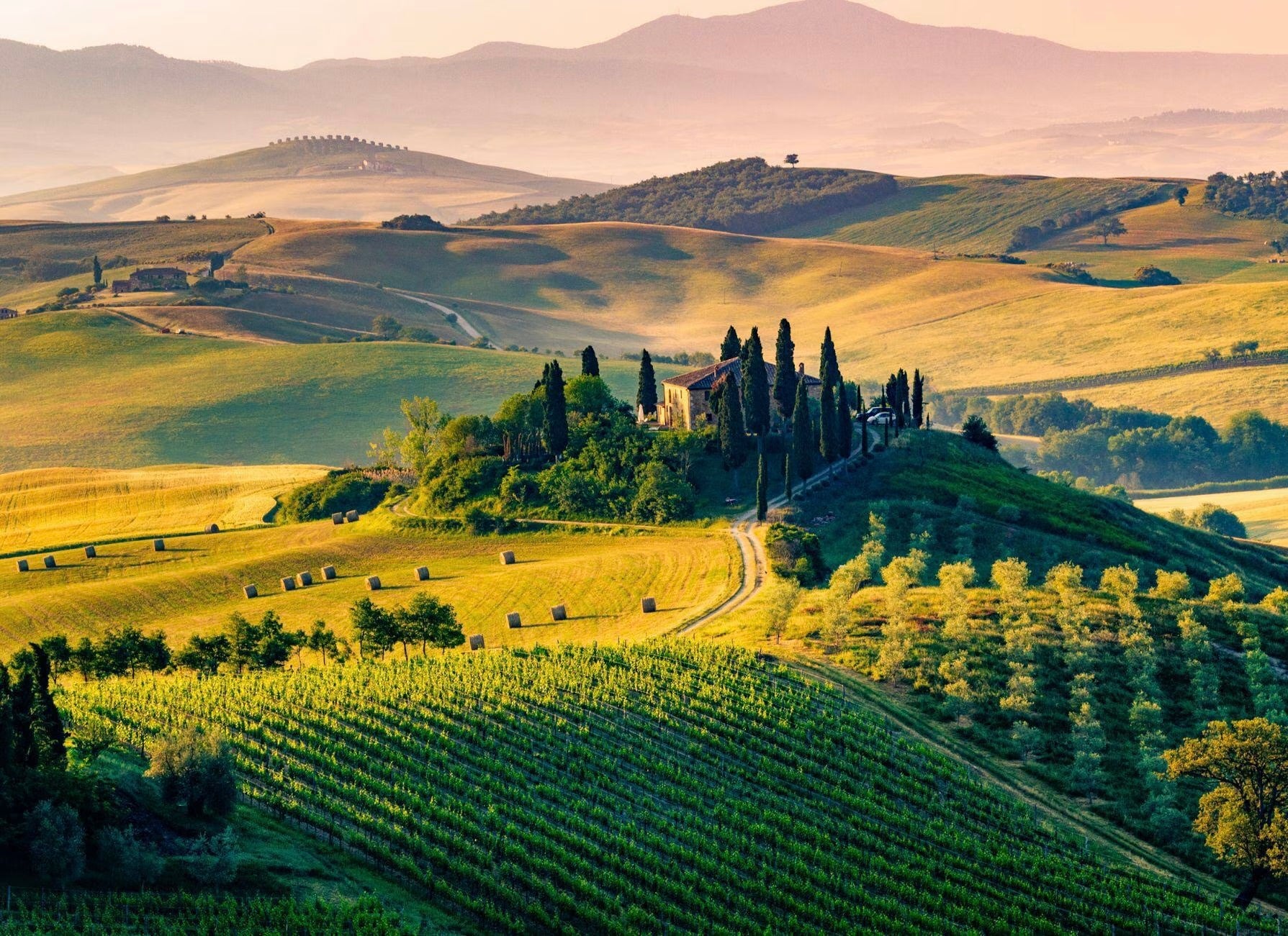 Tuscan countryside with rolling golden hills, vineyard rows, cypress trees around villa, and distant mountains at sunset.