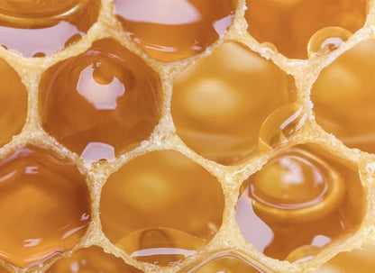 Close-up of golden honeycomb showing hexagonal wax cells filled with amber honey in natural geometric pattern.