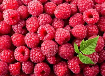 Fresh red raspberries with textured surfaces showing individual drupelets, densely arranged with single green leaf visible.