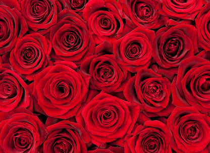 Close-up arrangement of vibrant red roses with layered petals, creating a dense floral pattern perfect for representing the Red Roses fragrance sample.