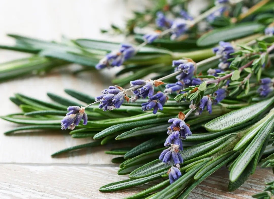 Fresh rosemary sprigs with needle-like green leaves and small purple flowers scattered on wooden surface.