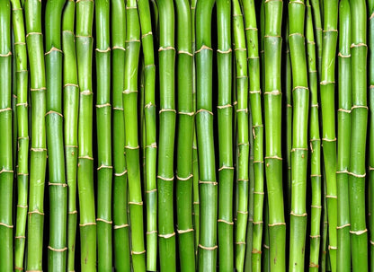 Close-up view of fresh green bamboo stalks arranged vertically, showing natural segmented nodes and varying shades of green.